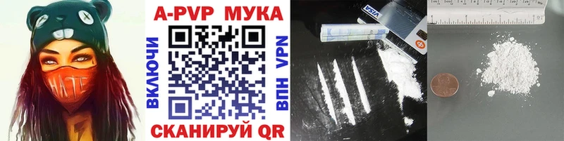A PVP СК КРИС  Волхов 