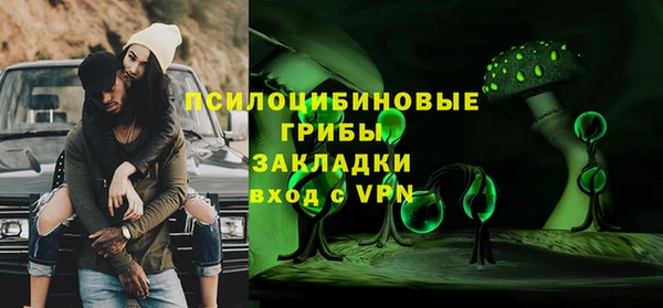 дурь Алзамай