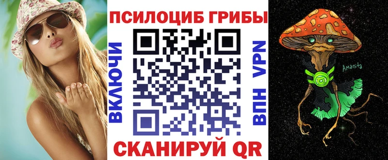 Галлюциногенные грибы Cubensis закладка Волхов