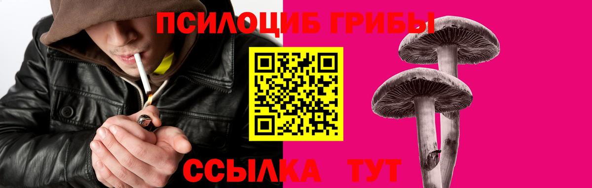 Волхов  Псилоцибиновые грибы MAGIC MUSHROOMS  магазин    Вход с VPN  Псилоцибиновые грибы Cubensis 